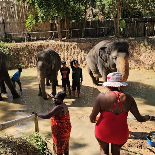 Thailand (21)